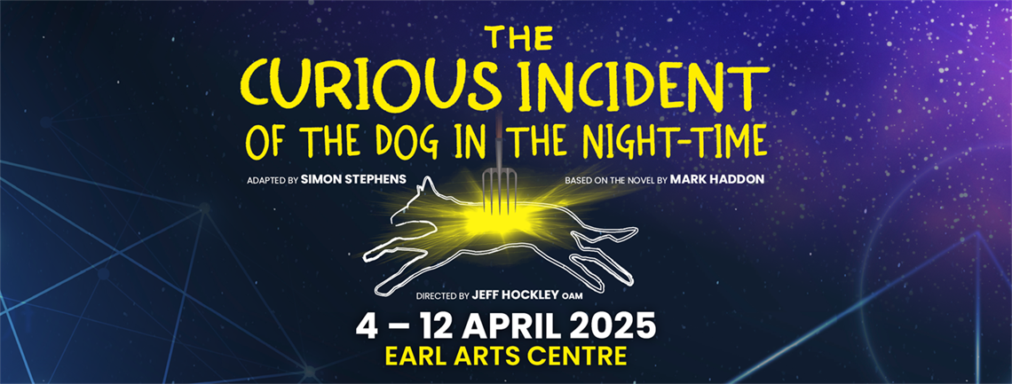 The Curious Incident of the dog in the night-time