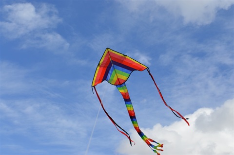 kite pixabay.jpg